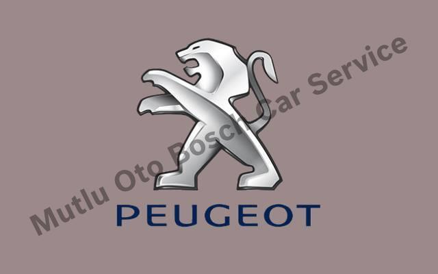 Konya Peugeot Servisi